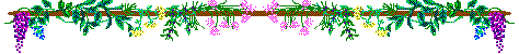 [Grapes]